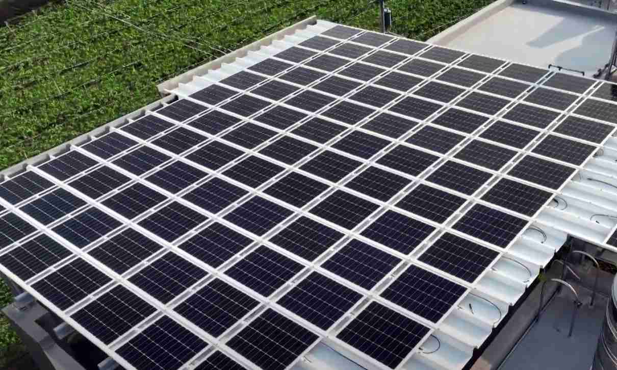 z6mg·人生就是博SunSteel光电浪板升级双玻结构，，以提升机械负载强度及气候耐候度，，，可广泛运用于多元场域